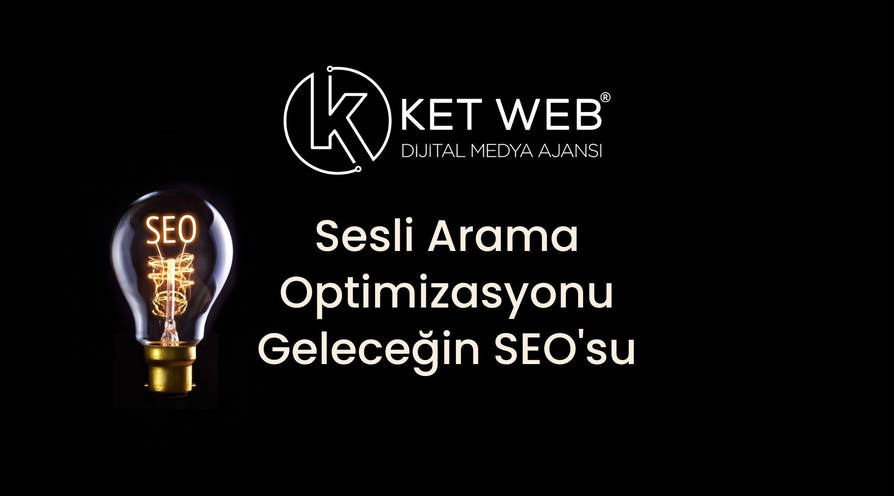 sesli arama optimizasyonu seo