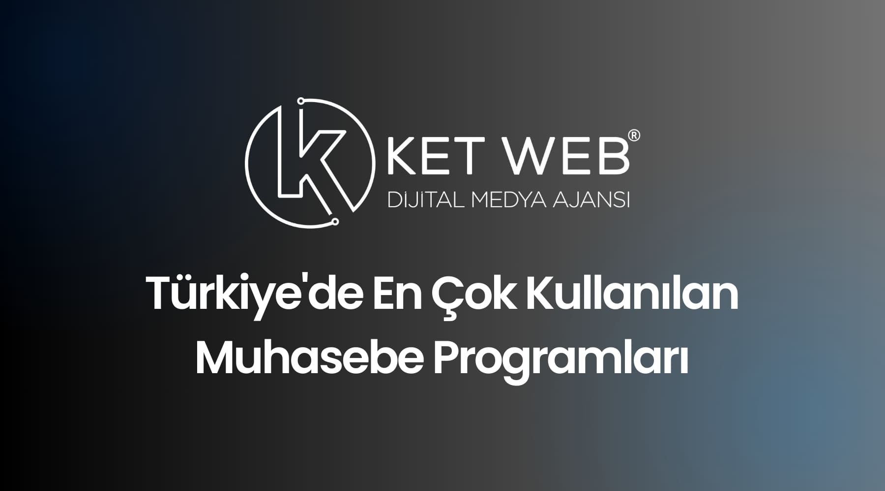 turkiyede en cok kullanilan muhasebe programlari