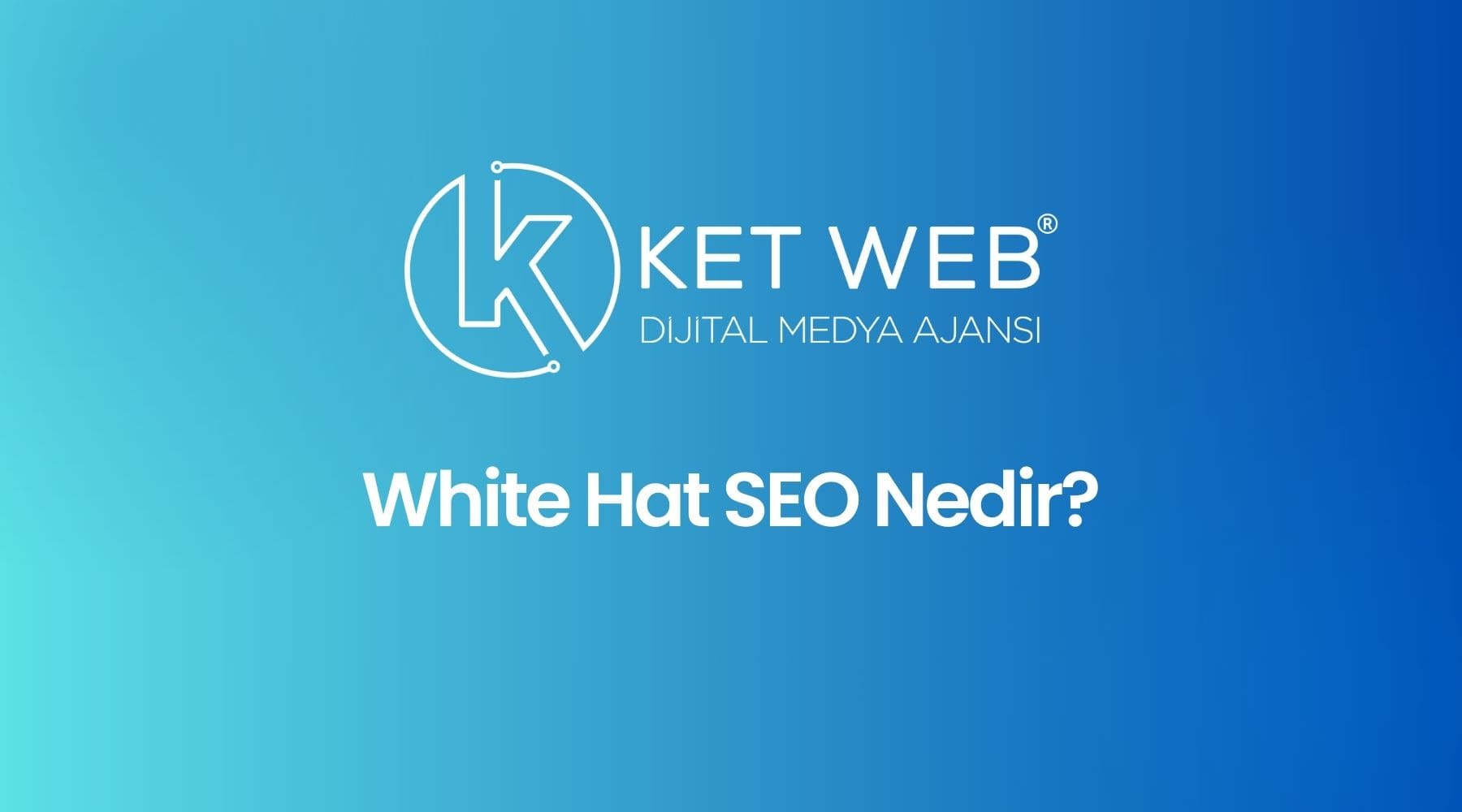 white hat seo nedir