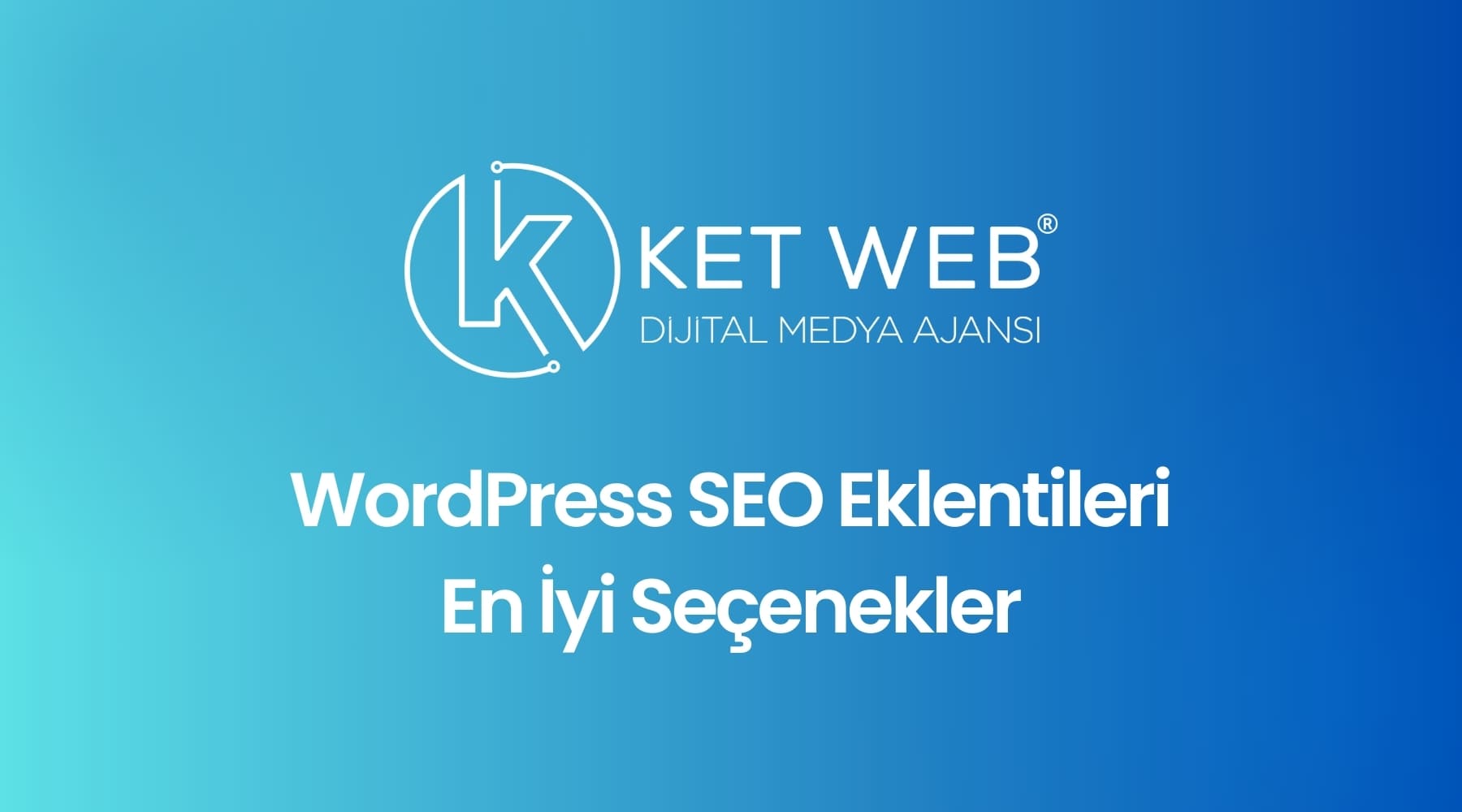 wordpress seo eklentileri 2025