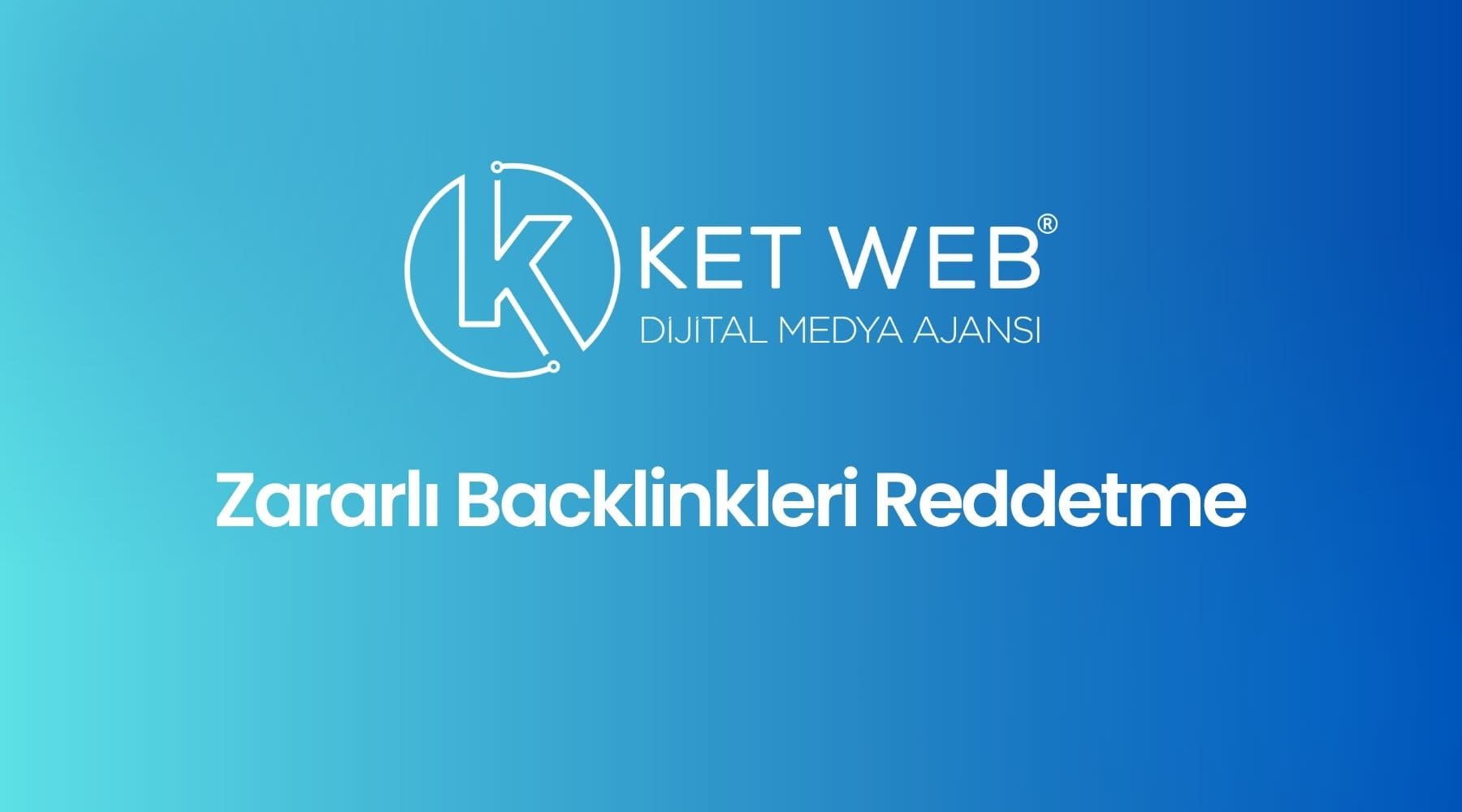 zararli backlinkleri reddetme